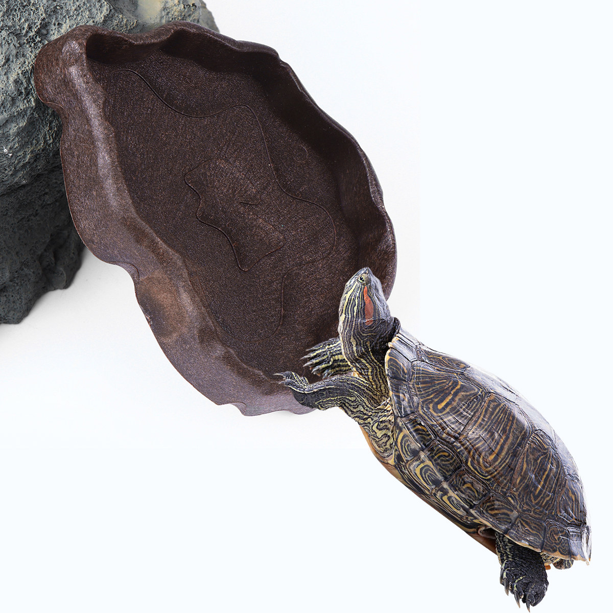 Water Dish Reptile - 爬虫類用樹脂製フードディッシュ コーヒーサイズS 滑り止め付き給餌皿 トカゲ、カメ、クモ用フード・水入れ 繁殖トレイ