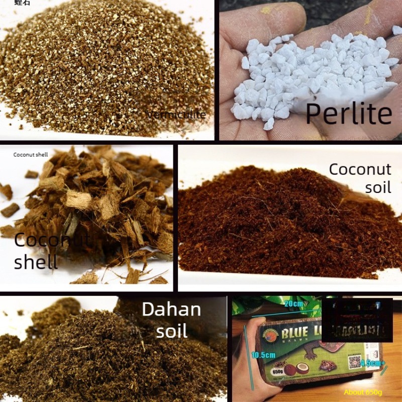 ココナッツ土レンガ 爬虫類用床材 亀・ヤモリ・ヘビ用 viv - Substrate Coconut Fiber のレビューと価格