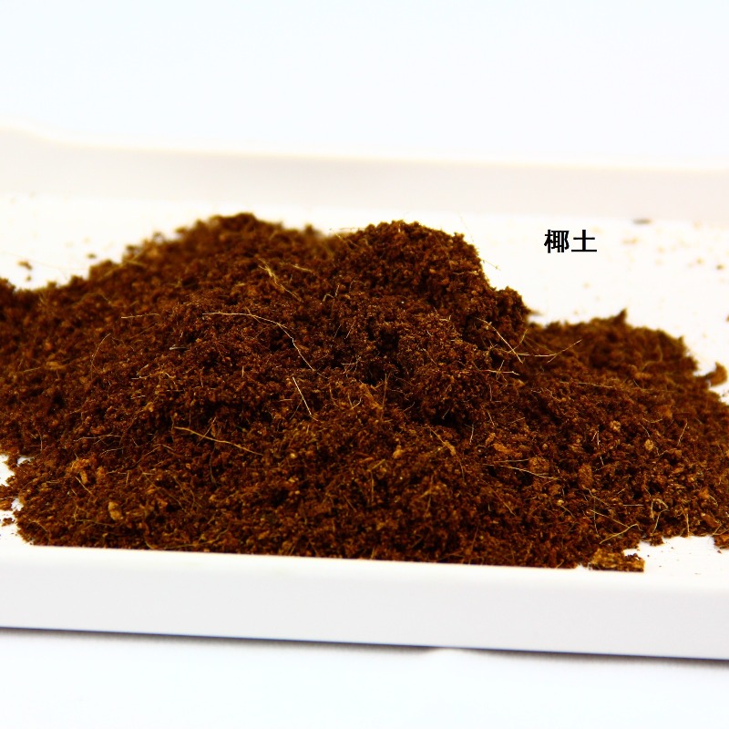 ココナッツ土レンガ 爬虫類用床材 亀・ヤモリ・ヘビ用 viv - Substrate Coconut Fiber のレビューと価格