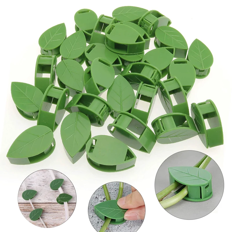 1-50 個目に見えない植物壁クライミングデバイスつるブラケ - Vine Climbing Plastic のレビューと価格