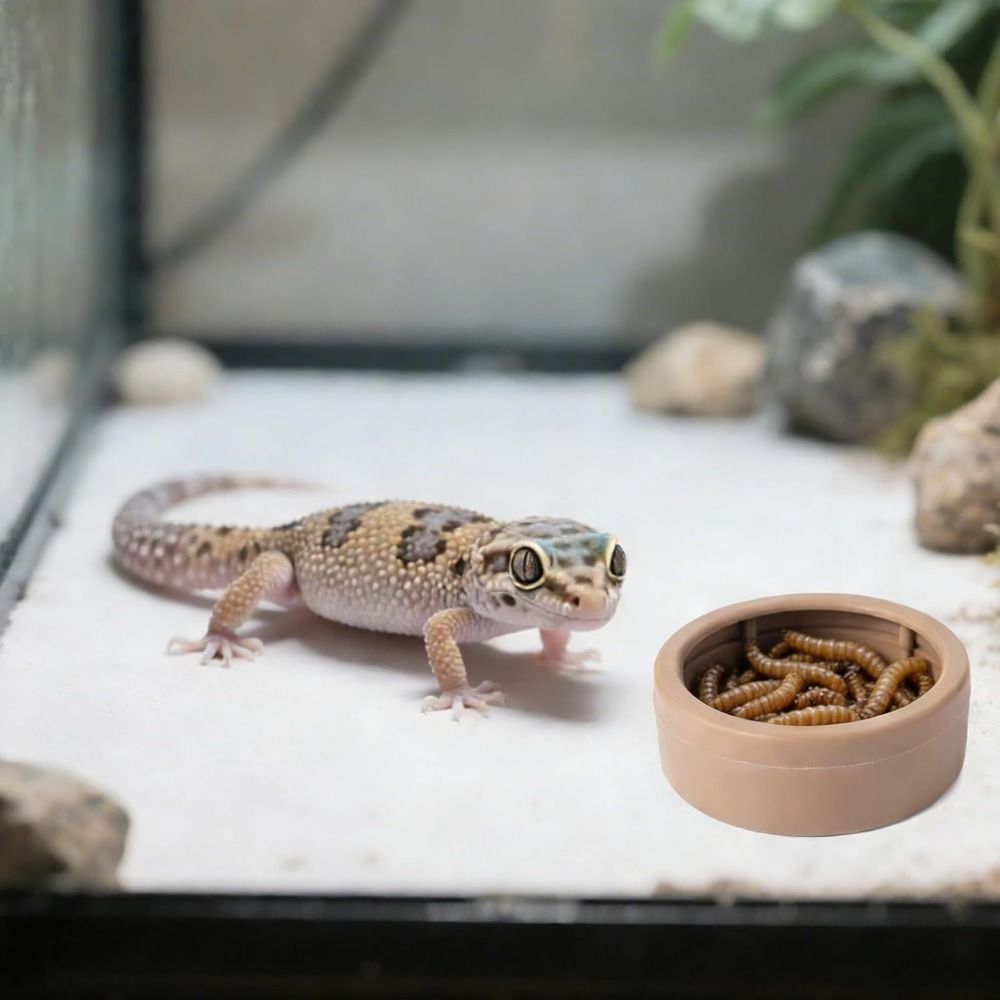 ポータブル脱走防止爬虫類用餌皿 転倒防止コンパクトミールワー - Water Dish Reptile のレビューと価格