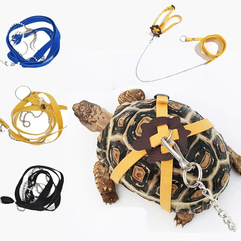 カメ牽引ベルトコントロールロープトレーニングベルト屋外ウォー - Water Dish Reptile のレビューと価格