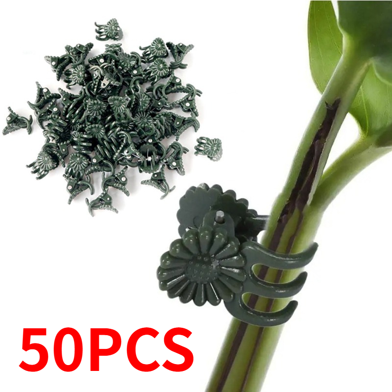 50個入り 5本爪 ダークグリーン 植物クリップ 蘭の花サポ - Vine Climbing Plastic のレビューと価格
