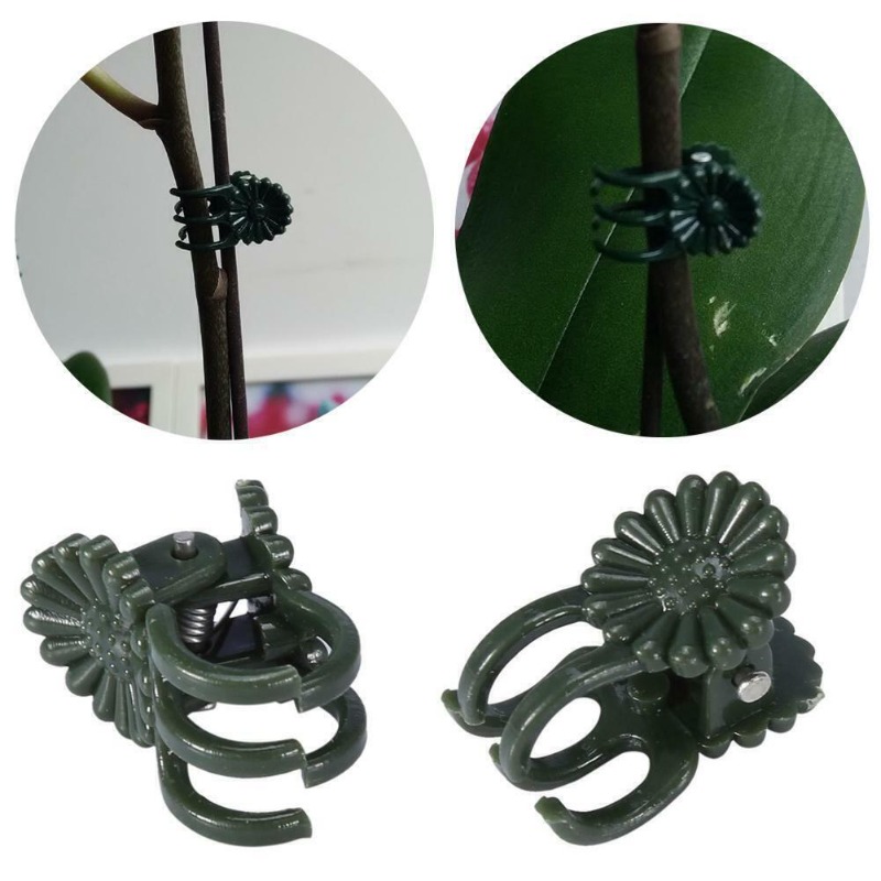 50個入り 5本爪 ダークグリーン 植物クリップ 蘭の花サポ - Vine Climbing Plastic のレビューと価格