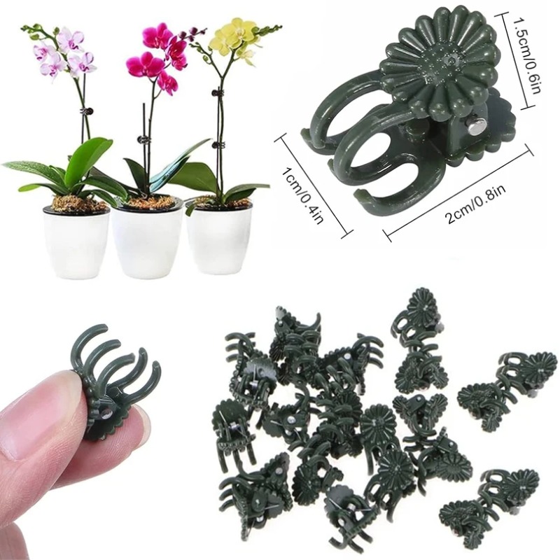 50個入り 5本爪 ダークグリーン 植物クリップ 蘭の花サポ - Vine Climbing Plastic のレビューと価格