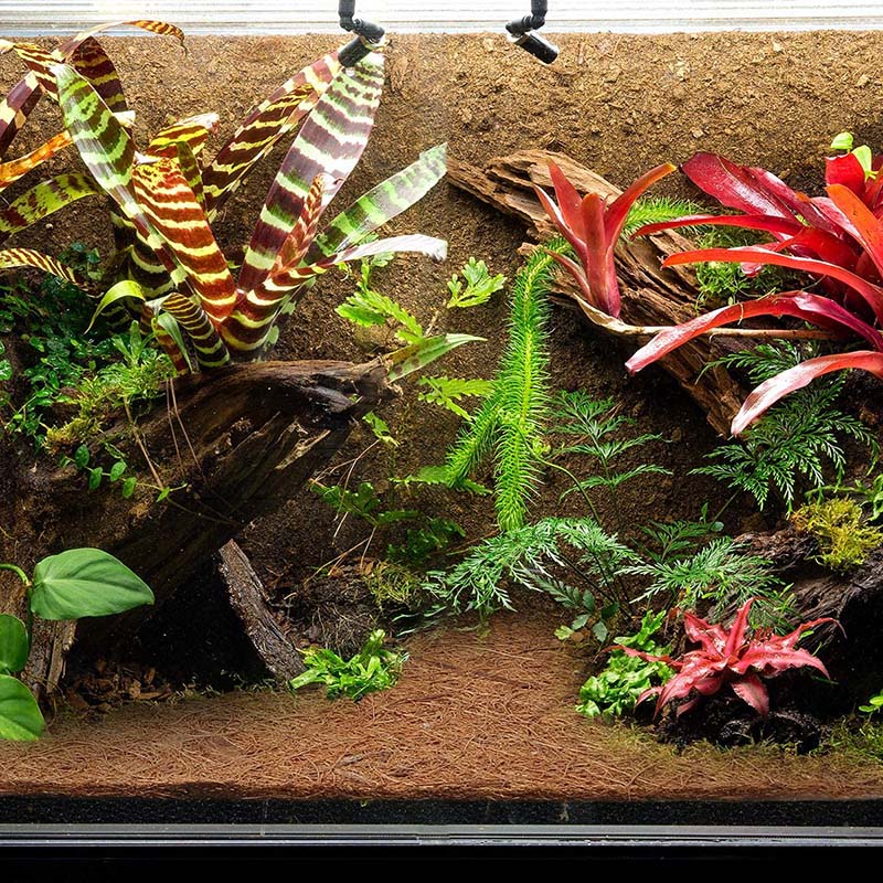 AT21-天然ココナッツ繊維マット、爬虫類用カーペット、トカ - Substrate Coconut Fiber のレビューと価格