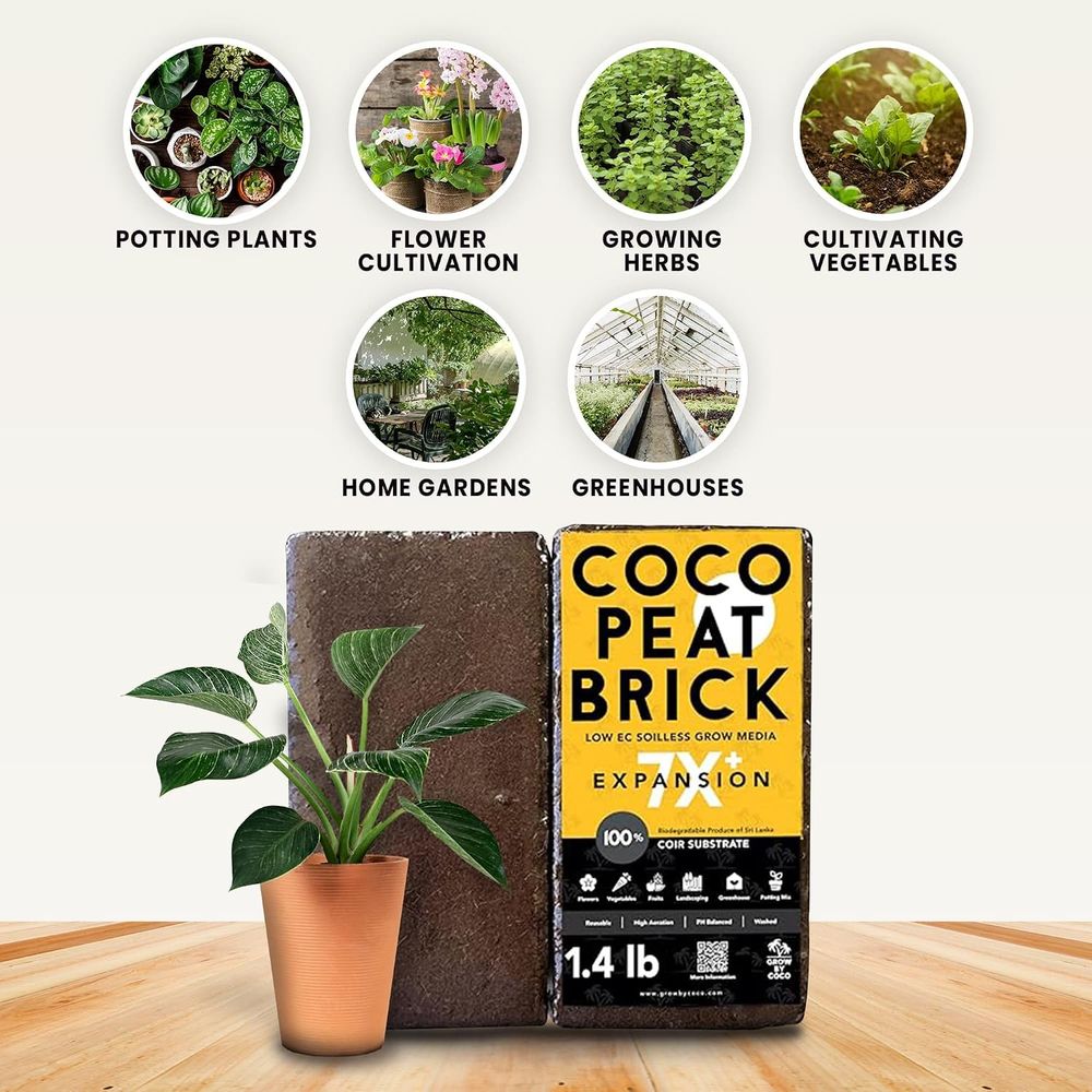 650gブリック - プレミアムオーガニックピートブリックま - Substrate Coconut Fiber のレビューと価格