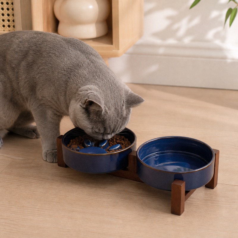 和風陶器製ペット用猫ボウル 中型犬子犬用スローフードボウル  - Royal Canin Food Medium のレビューと価格