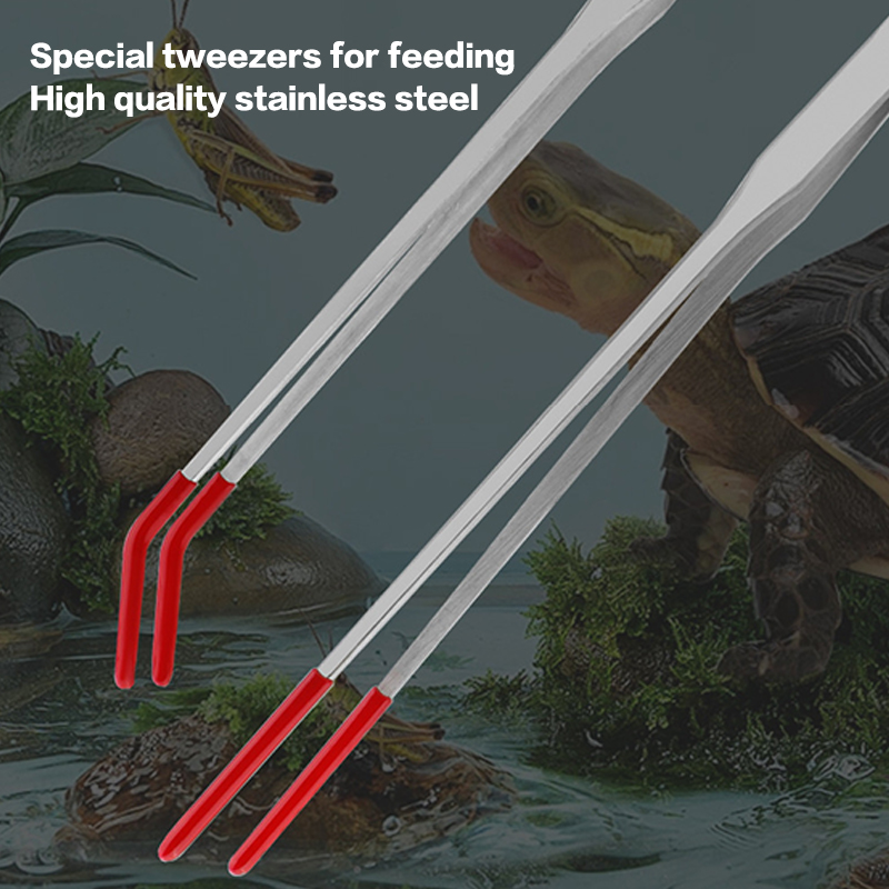 ステンレス鋼爬虫類給餌トングゴムチップ水族館水族館ストレート - Feeding Tong Stainless のレビューと価格